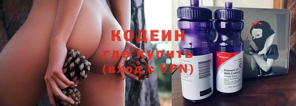молекула духа Алексин