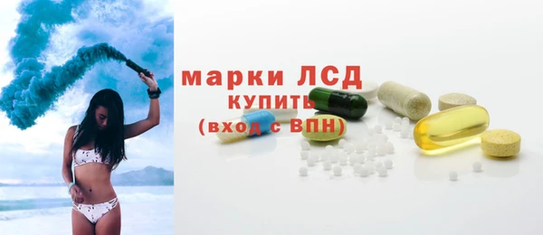 хмурый Абаза