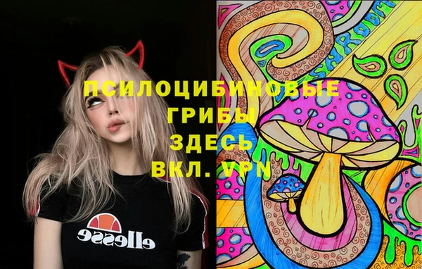 молекула духа Алексин