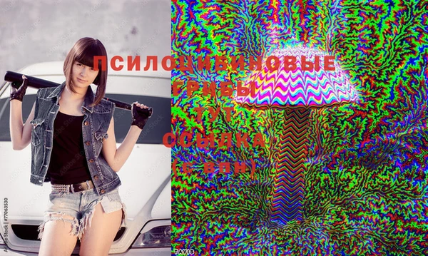молекула духа Алексин